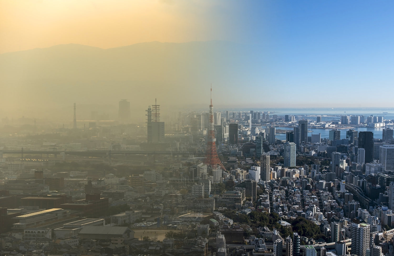 View of a city : half polluted, half clean