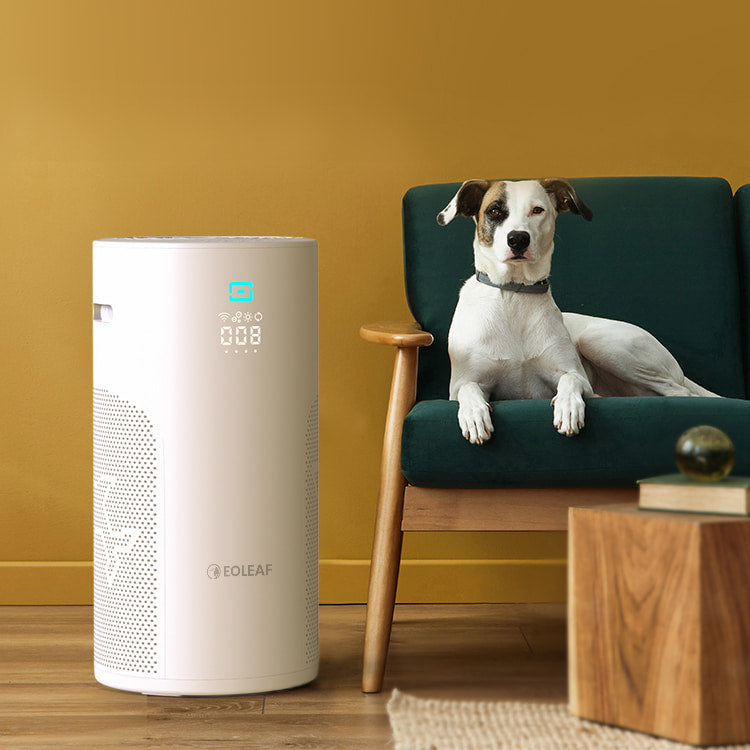 The AEROPRO 40 air purifier next to a pet