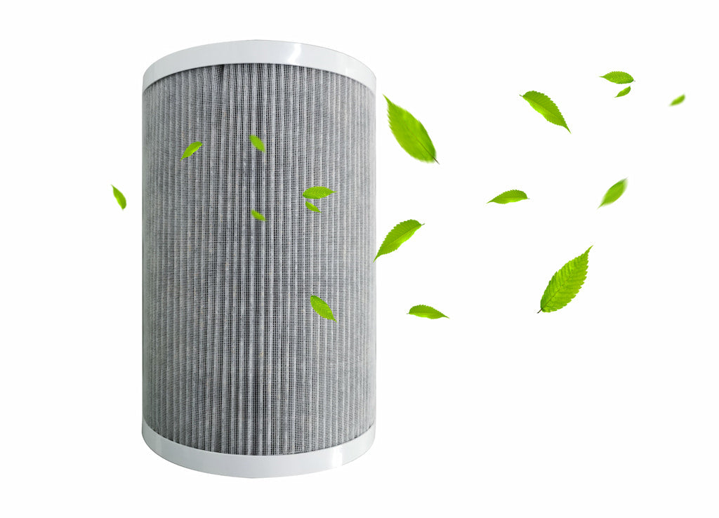 Eoleaf's AEROPRO 100 air purifier's replacement filter with leaves around it