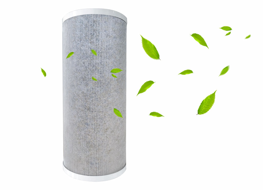 Eoleaf's AEROPRO 150 air purifier's replacement filter with leaves around it