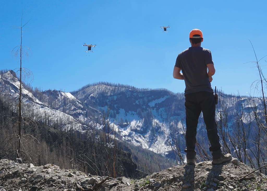 A man using drones to replant trees in the mountains